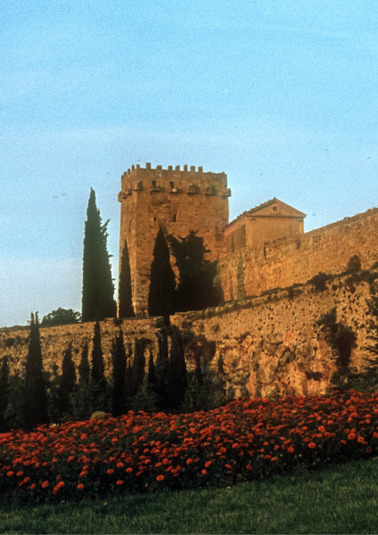 ES FARÀ LA MEDEA A TARRAGONA.jpg